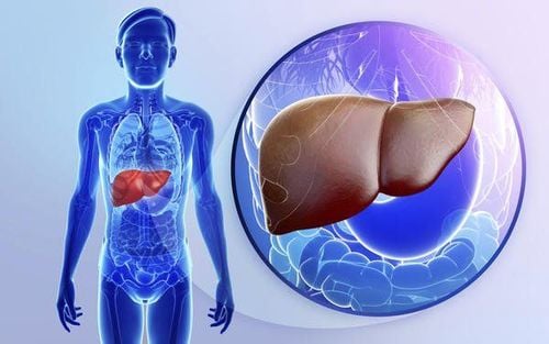 Bệnh gan có lây qua đường ăn uống không - Cẩm nang hiểu biết về khả năng truyền nhiễm và phòng tránh hiệu quả