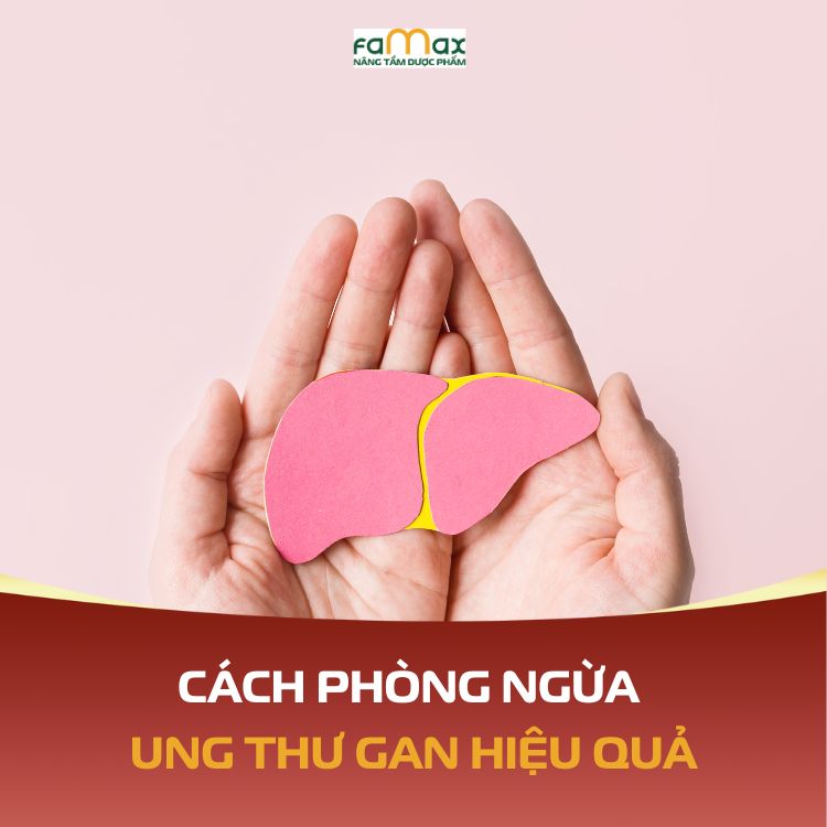 Cach Phong Ngua Ung Thu Gan Hieu 69213d8043401.webp