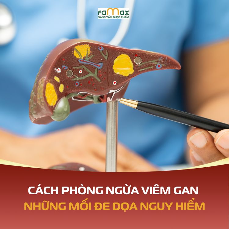 Cach Phong Ngua Viem Gan 6917f0e0d69e1.webp