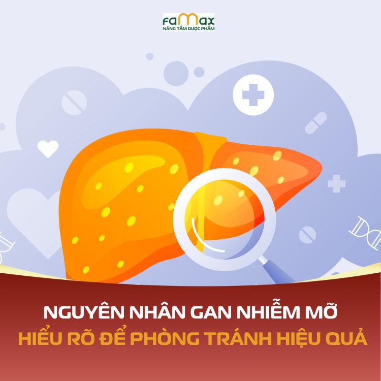 Nguyen Nhan Gan Nhiem Mo Hieu Ro De Phong Tranh Hieu Qua 690d7545ba488.webp