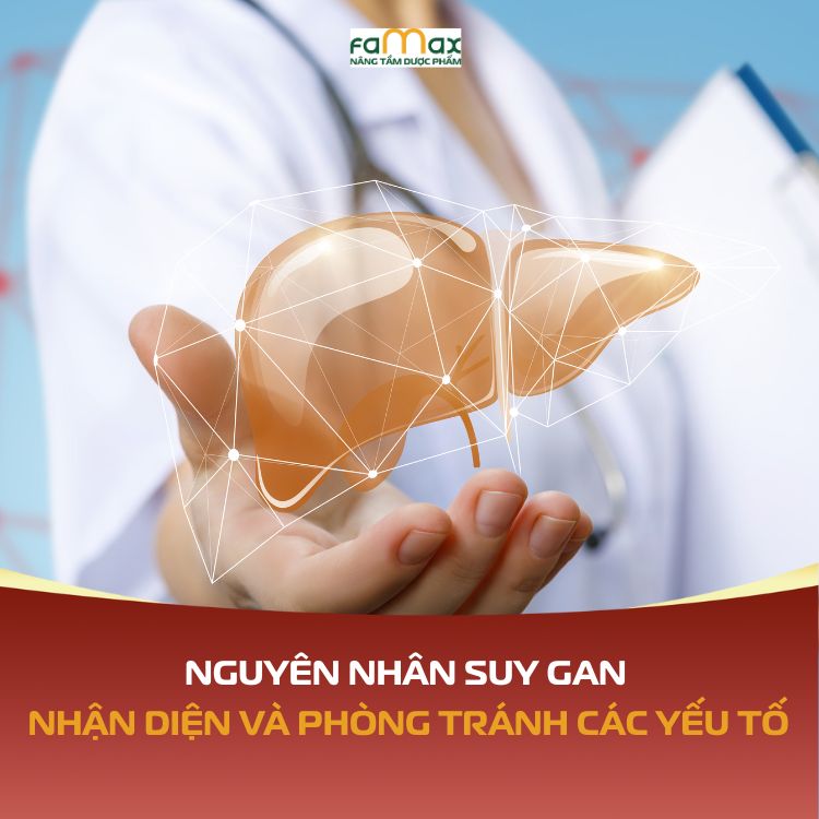 Nguyen Nhan Suy Gan Nhan Dien Va Phong Tranh Cac Yeu To Gay Hai Cho Gan 690d78ee96760.webp
