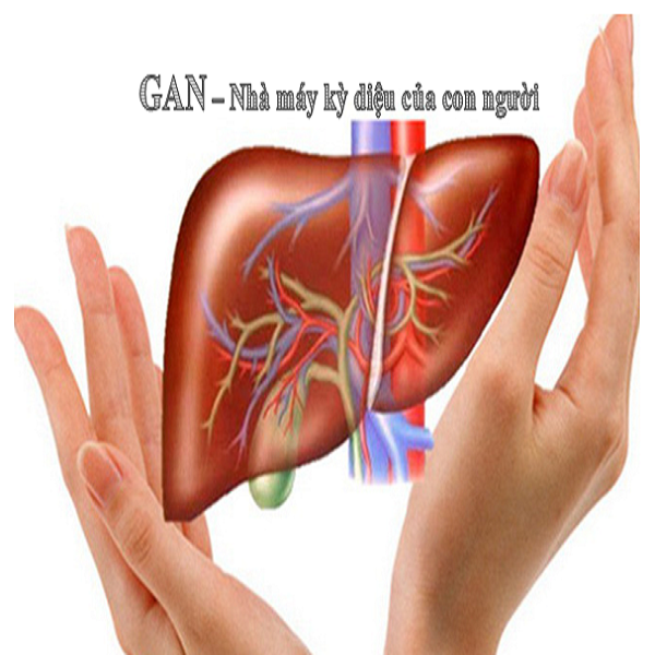 Nguyên nhân xơ gan - Những yếu tố chủ yếu dẫn đến bệnh lý nguy hiểm này