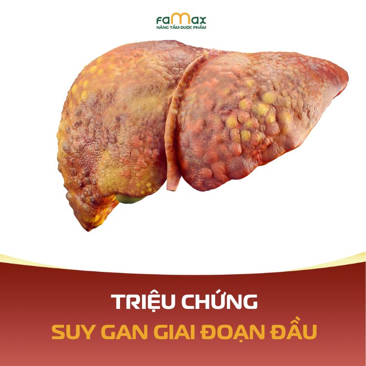 Trieu Chung Suy Gan Giai Doan Dau 693cec484bdb7.webp