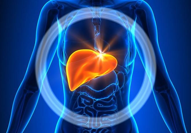 Viêm gan virus - Hiểu đúng để phòng tránh hiệu quả và sống khỏe mạnh