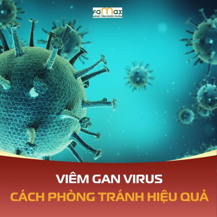 Viem Gan Virus Hieu Dung De Phong Tranh Hieu Qua Va Song Khoe Manh 6932934da9887.webp